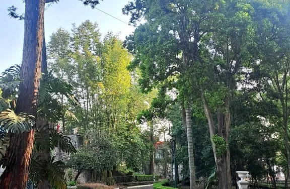 Medio nublado a nublado, probabilidad de lluvias y tormentas con acumulados en 24 horas en Veracruz