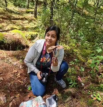 Egresada UV registró nueva especie de hongo del género Agaricus Su nombre científico es Agaricus cervinóculus, mejor conocido como ojo de venado