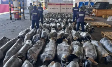 Decomisa la Marina un Cargamento de 750 Kilos de Marihuana, en el Puerto de Veracruz