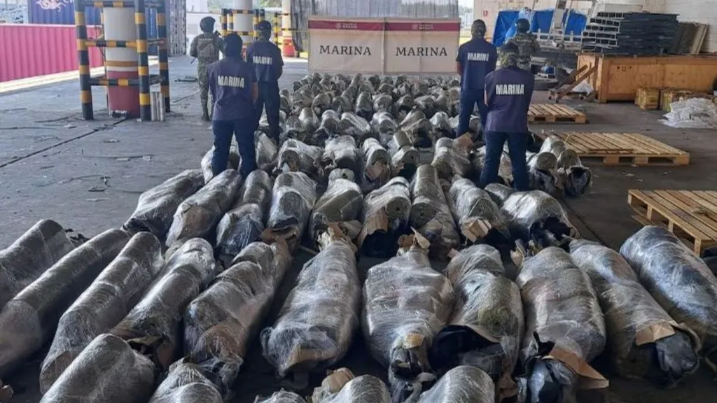 Decomisa la Marina un Cargamento de 750 Kilos de Marihuana, en el Puerto de Veracruz