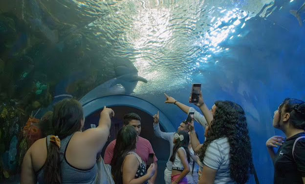 Recientemente modernizado con Delfinario y Lobario.