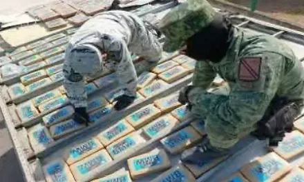 Decomisan 300 paquetes de drogas en Celaya en operativo de Guardia Nacional y Ejército