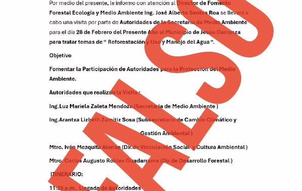 Sedema identifica documentos falsos y gestores ilegítimos