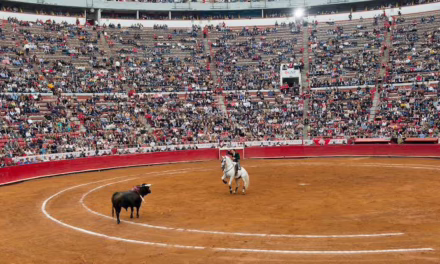 Estás algunas de las nuevas reglas luego de Prohibición de corridas de Toros con violencia