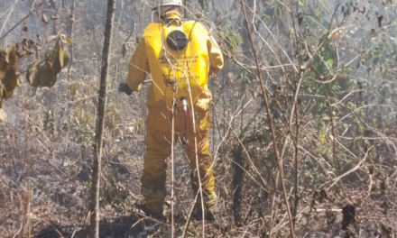 Se registra incendio forestal en la zona de Jilotepec