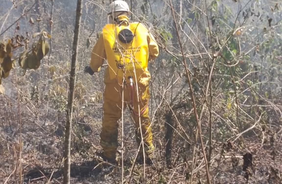 Se registra incendio forestal en la zona de Jilotepec