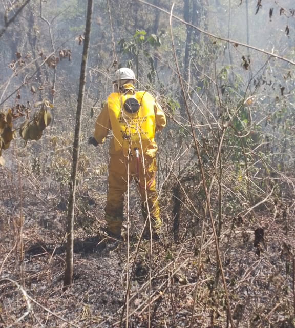 Se registra incendio forestal en la zona de Jilotepec