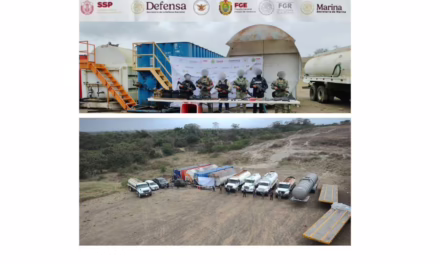 VEHÍCULOS Y OBJETOS ASEGURADOS EN OPERATIVO DE CATEO  EN TUXPAN