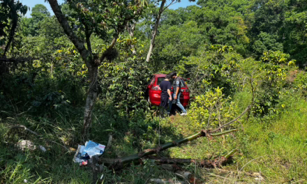 Vehículo Ibiza se sale de la carretera en la Xalapa – Coatepec
