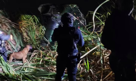Atiende Gobierno de Veracruz caída de aeronave en Fortín