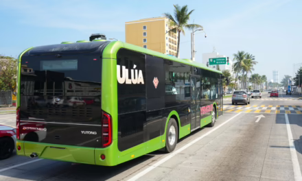 En tres meses llegarán 100 unidades de transporte público a Veracruz-Boca del Río