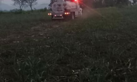 Incendio forestal en Atzacan, controlado al 100%