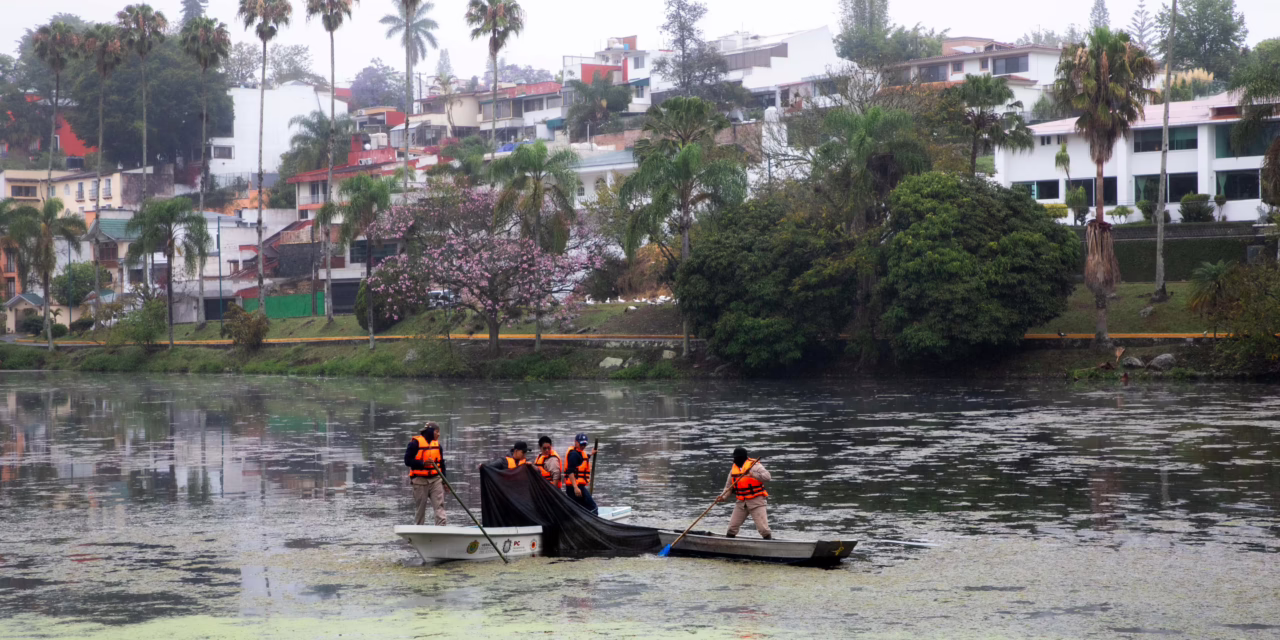 Continúan trabajos de limpieza en los lagos de Las Ánimas
