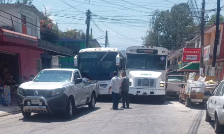 Chocan dos camiones de transporte público en Xalapa
