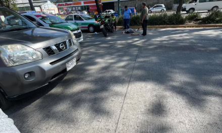 Persona de la tercera edad atropellada en la Av. Lázaro Cárdenas