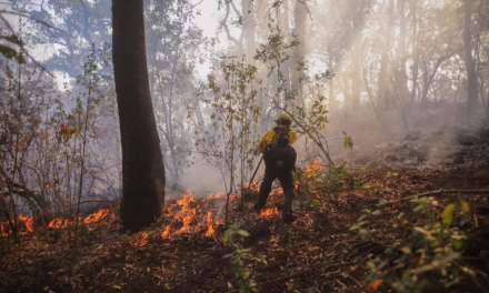 Incendio en Tepoztlán supera mil hectáreas; movilizan helicópteros de Sedena y Marina