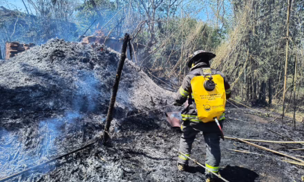 Se registra incendio de pastizal en El Castillo