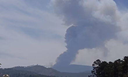 Nuevamente incendio en la zona del Cofre de Perote