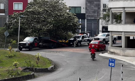 Pareja de jóvenes en cuatrimoto, escandalizaban en Monte Magno