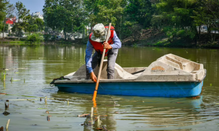 Realiza Ayuntamiento acciones de limpieza en Laguna de Casa Blanca