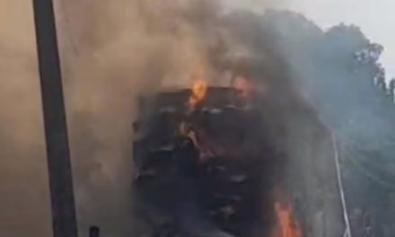 Video:Se registra incendio de remolque que transportaba pacas de pasto.