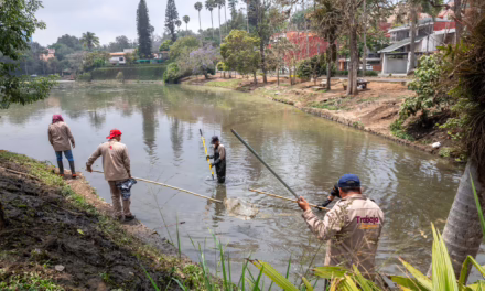 Limpieza en lagos de Las Ánimas es permanente