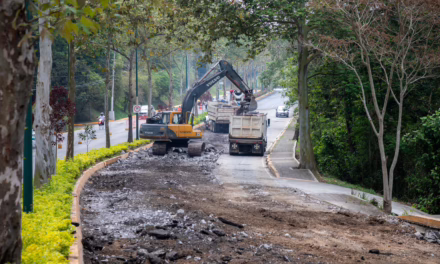 Avanzan trabajos de pavimentación en Murillo Vidal