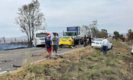 Video:Incendio de pastizal provoca carambola de 7 autos en la Carretera 120 en Amealco, Querétaro