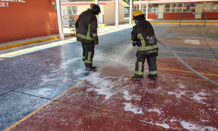 Bomberos de Xalapa Atienden Reporte de Enjambre en Primaria Jaime Torres Bodet