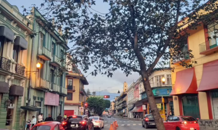 En Veracruz, muy caluroso con probabilidad baja de lluvia; sin embargo, se pueden presentar eventos aislados con algunas tormentas (actividad eléctrica, ráfagas de viento y posible caída de granizo) especialmente en la región montañosa