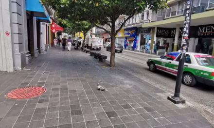 En el Estado de Veracruz,  probabilidad de lluvias con algunas tormentas (actividad eléctrica, ráfagas de viento y posible caída de granizo), registrándose las precipitaciones más importantes en regiones montañosas