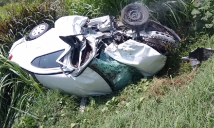 Video:Accidente en la carretera Fortín-Huatusco deja una persona fallecida