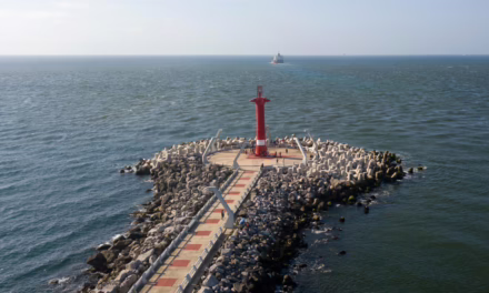 Conecta con las raíces de Mesoamérica en Coatzacoalcos, tierra de tránsito y transformación