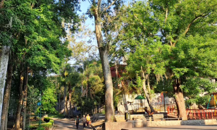 Hoy continuará ambiente caluroso al mediodía  y primeras horas de la tarde en el estado de Veracruz. Aquí el pronóstico de temperaturas máximas para este martes