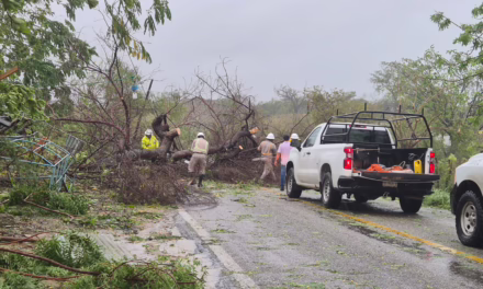 CFE TRABAJA EN LA ATENCIÓN DE LAS AFECTACIONES EN OAXACA POR EL PASO DEL HURACÁN ERICK