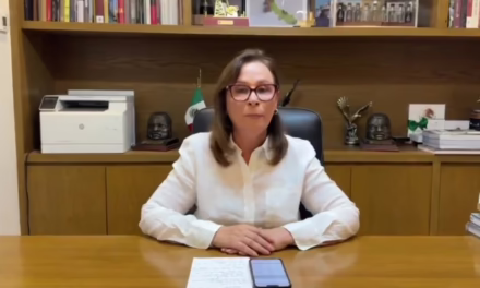 Rocío Nahle detalla acciones tras lluvias por “Erick”: Prioridad a la Seguridad y atención en zonas afectadas