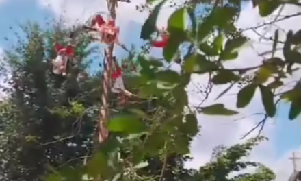 Colapsa estructura de Voladores de Papantla y caen más de 10 metros en Tihuatlán, Veracruz