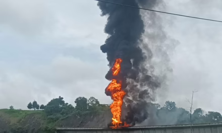 Video: Se incendia tractocamión en el libramiento de Xalapa