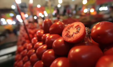 Exportaciones de jitomate a EU pagarán arancel de 17%