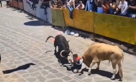 Video:Sobrevive  a cornada durante fiesta patronal en Xico