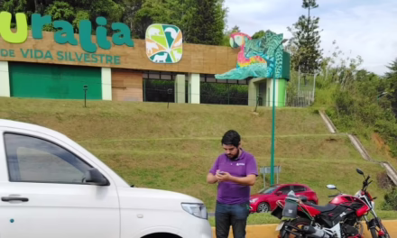 Accidente de tránsito a la altura de Plaza Animas