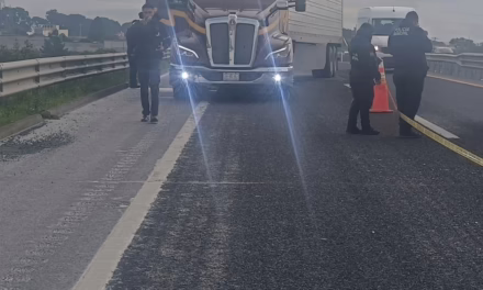 Conductor de trailer pierde la vida en la carretera México-Tuxpan