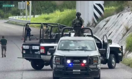 Fiscalía inicia investigación por restos humanos en la carretera Poza Rica-Cazones