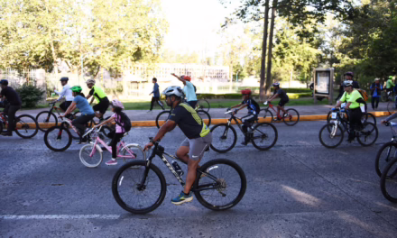 Refrenda Alberto Islas respaldo a actividades que promueven la paz