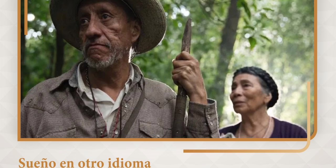 Este viernes se inaugura exposición de Beatriz Zamora en la Pinacoteca