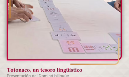 Charla y dominó en totonaco, este viernes en el Museo Teodoro Cano