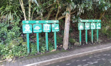 Aviso importante para visitantes del Cerro de Macuiltépetl