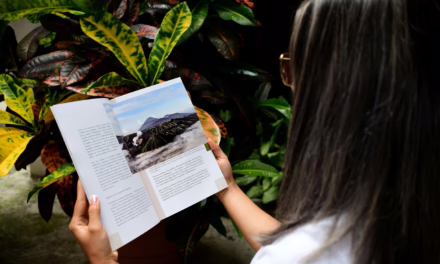 Invita Ayuntamiento a la presentación de “La Crónica de Xalapa”