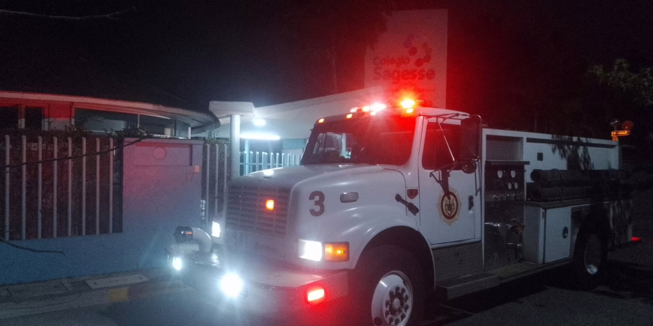 Xalapa: Bomberos controlan enjambre de abejas en colegio de Las Ánimas