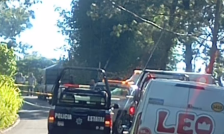 Motociclista fallece en la carretera Xalapa-Naolinco